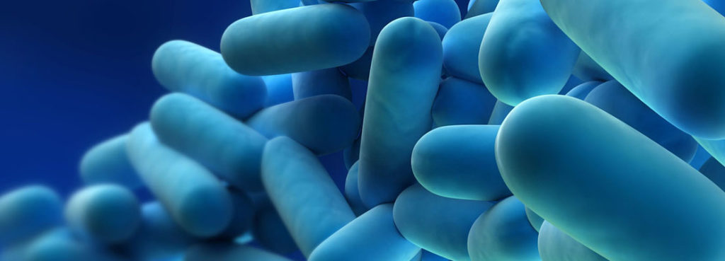Legionella preventie